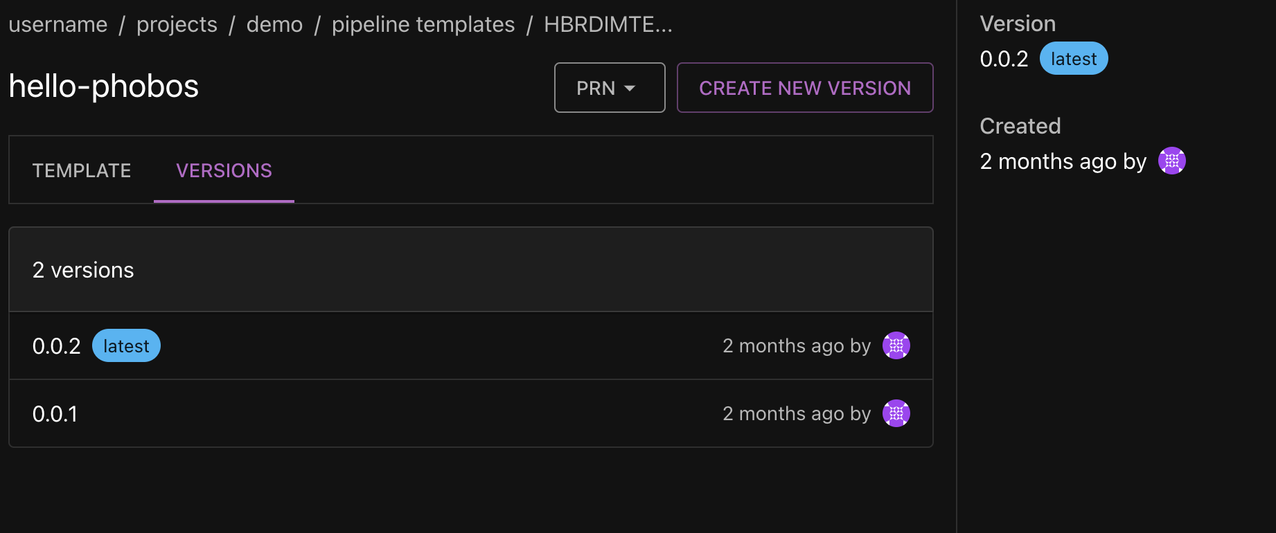 Pipeline template details page - versioned